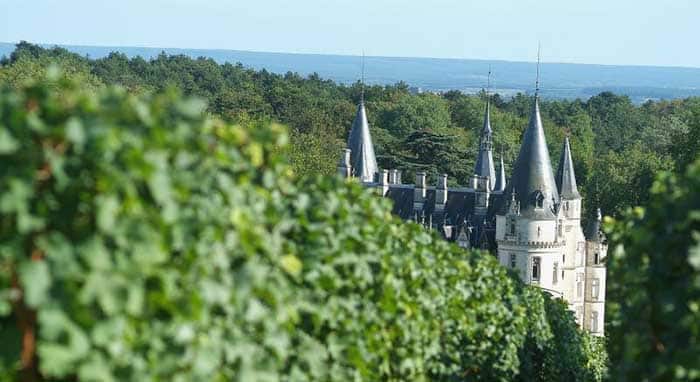 The Famous French Wine Regions